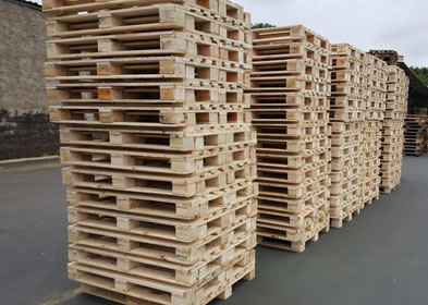 Locação de Pallets